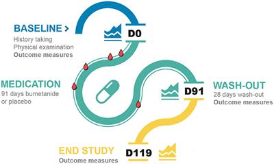 Bumetanide for Irritability in Children With Sensory Processing Problems Across Neurodevelopmental Disorders: A Pilot Randomized Controlled Trial